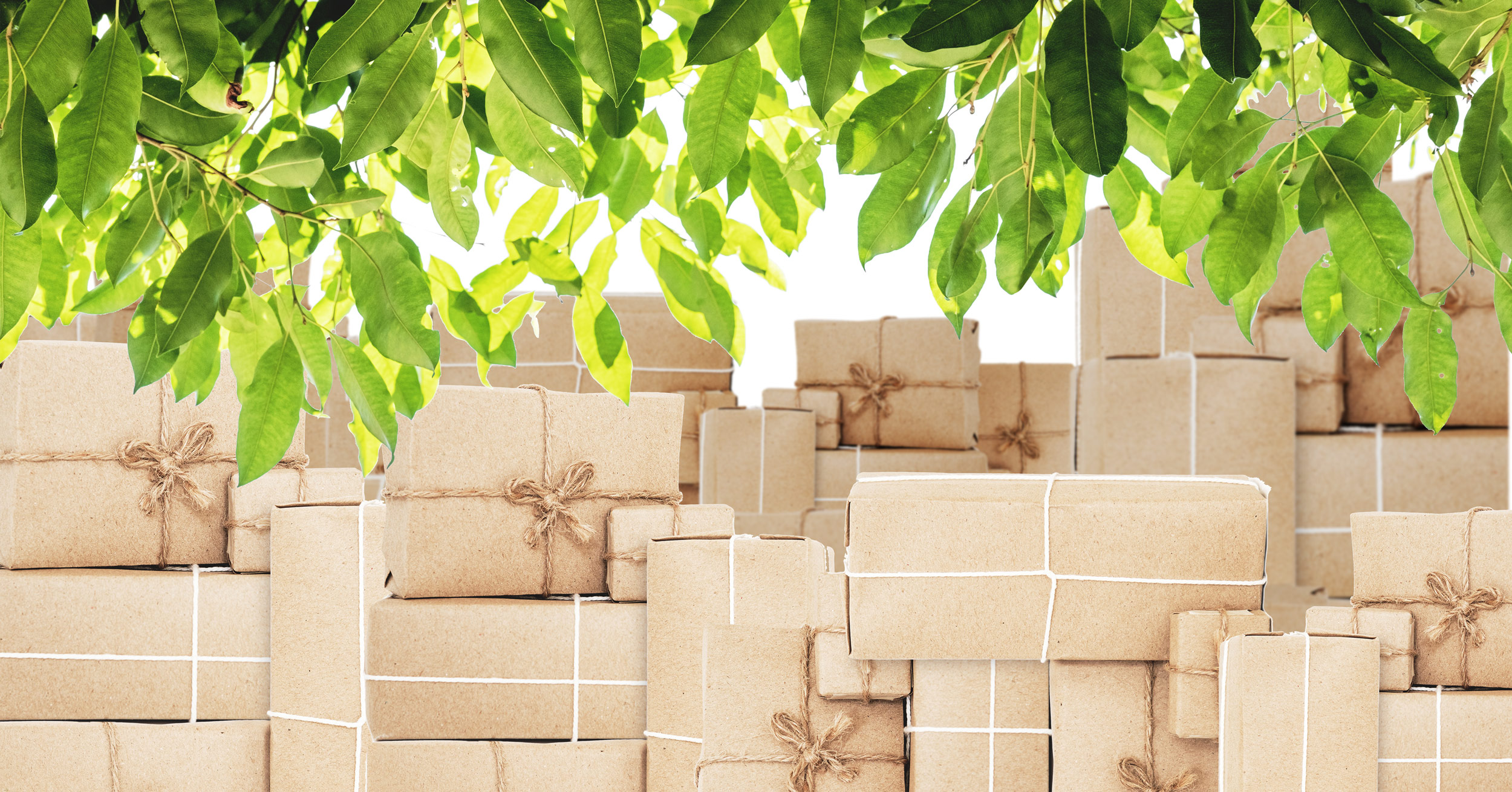 Packaging sostenibili Packaging sostenibili