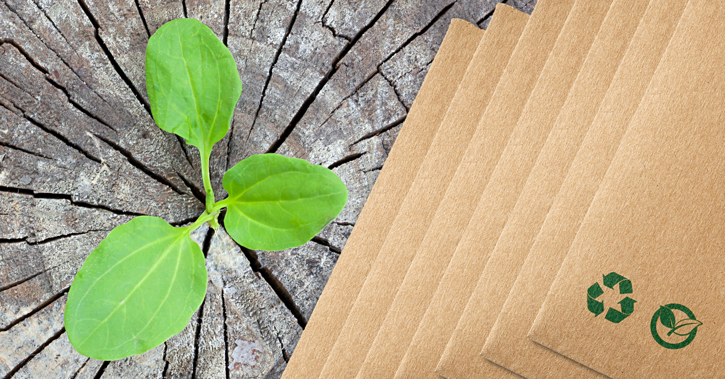 Packaging sostenibile Packaging sostenibile